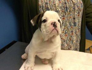 IMG_20191227_090827 (2) IMG_20191227_090827 (2)