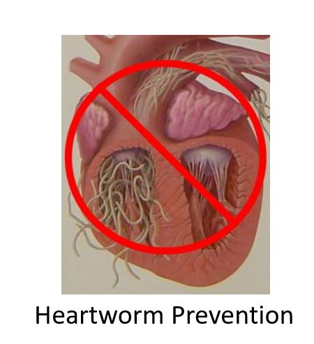 hwm p ws 1 hwm p ws 1