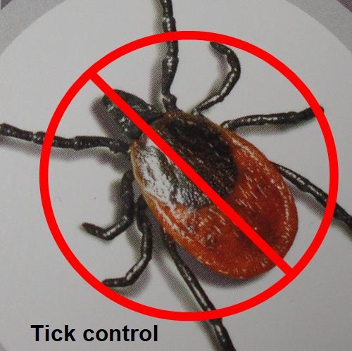 tick 1 tick 1